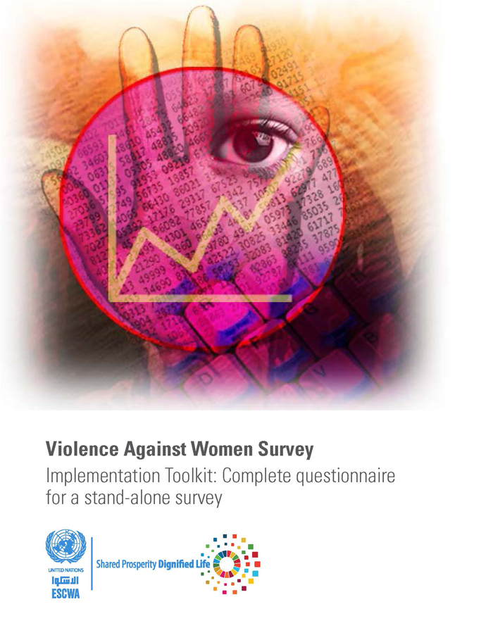 Violence Against Women Survey Implementation Toolkit: Complete questionnaire for a stand-alone survey