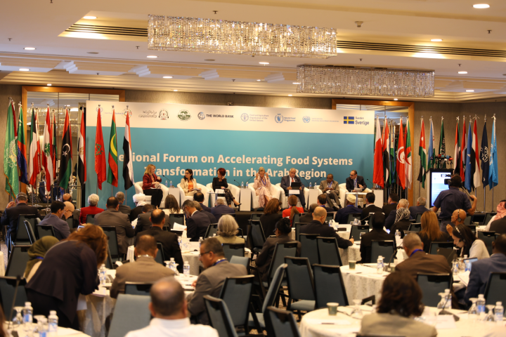 Accelerating food transformation in the Arab region