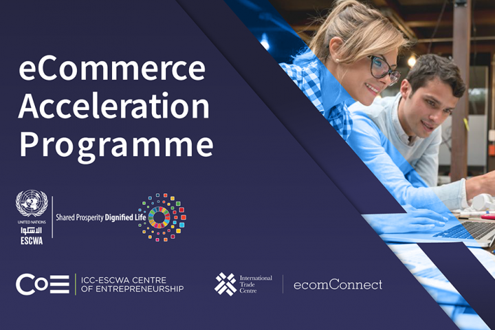 eCommerce Acceleration Programme flyer