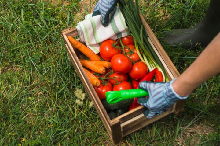 Vegetables in a wooden basket