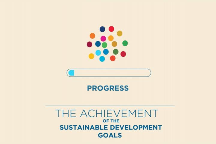 Thumbnail from the video reading: Progress... The Achievement of the Sustainable Development Goals