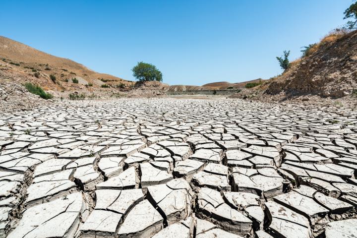 Desertification 