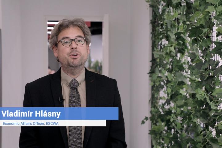 Vladimir Hlasny, author of the study in a video message