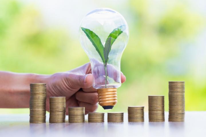 plant bloom in hand, over a pile of coins, representing financing climate action