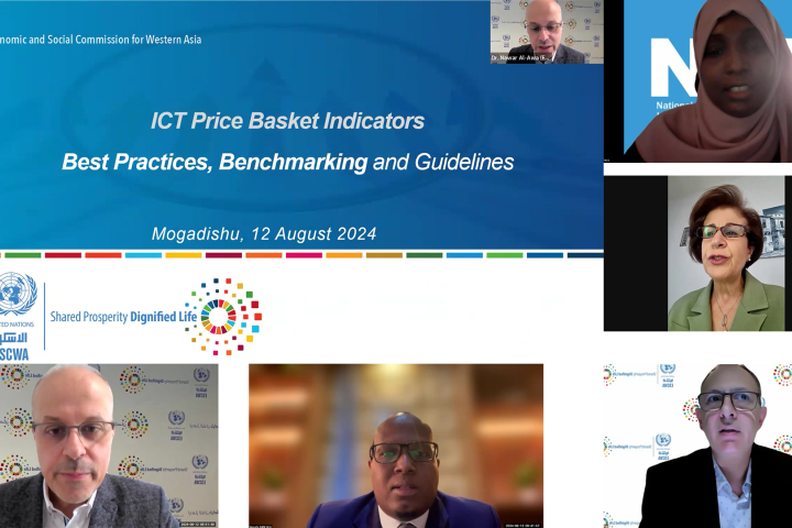 Screenshot of participants in the meeting on   Information and communication technology prices in Somalia