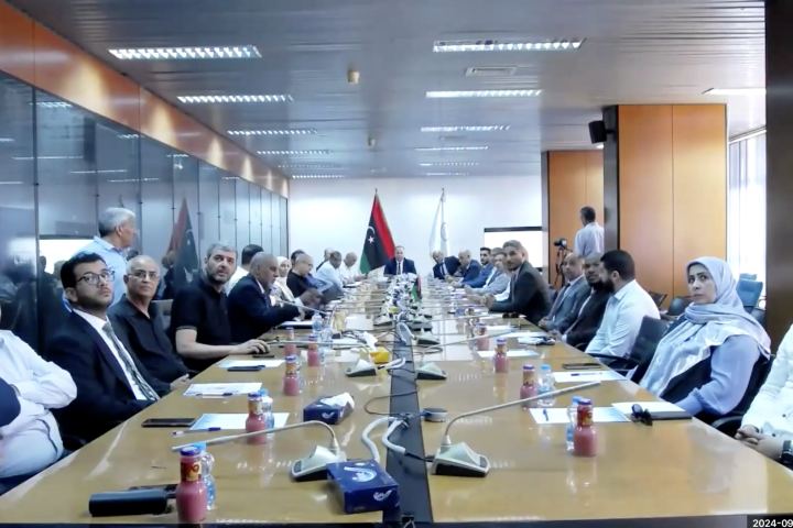 Participants in the webinar on the digital development agenda in Libya