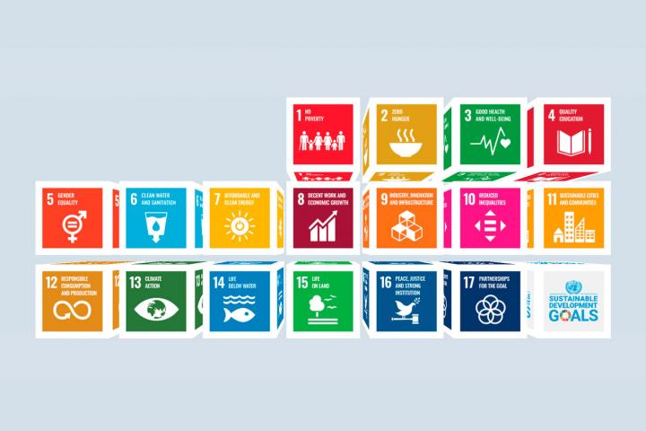 Image: SDG logos