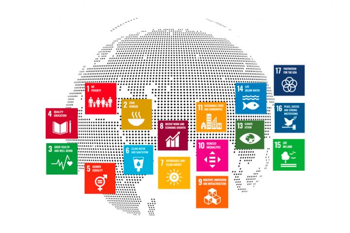 SDG Data Collection Tool banner image